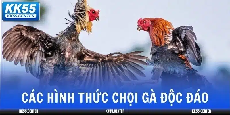 da-ga-kk55-hinh-thuc